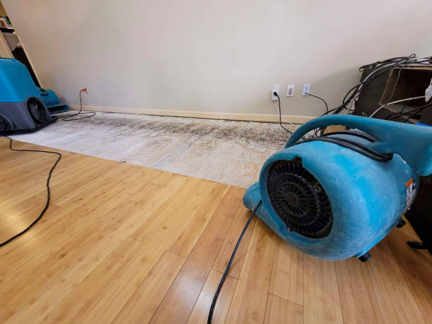 Reliable Basement Flood Cleanup contractor in Broken Arrow, OK by Hirex Water Damage